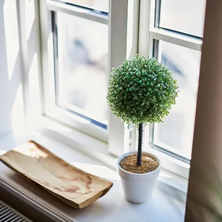 Appartement Fewo1846 - Hafen-butze - Komfortable In Historischem Gebaeude Im Stadtzentrum *